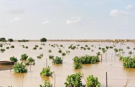 تساقطات مطرية في خمس ولايات