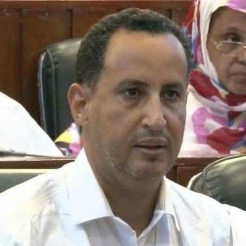 السيناتور محمد ولد غده