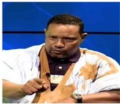 محمد محمود ولد بكار، صحفي