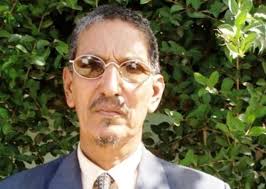 ماموني ولد مختار، صحفي 