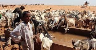 صورة تخدم النص
